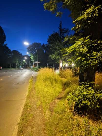 The photo shows a night-time street scene on the outskirts of Berlin. It is 3.20 a.m., but the surroundings are well lit by street lamps and other light sources. To the left of the picture is a tarmac road stretching into the distance. Several street lamps can be seen along the road, emitting a warm, yellow light. 

To the right of the road is a narrow, unpaved path flanked by tall, dense grass and various plants. A large tree with dense foliage stands at the right-hand edge of the picture, partially illuminated by the lanterns. Other trees and bushes can be seen in the background, lost in the darkness.

The deep blue night and the illuminated street create a strong contrast that emphasises the artificial brightness in the otherwise dark surroundings. A few distant lights from houses or other buildings flash through the foliage. The scene appears quiet and deserted, with no signs of traffic or people.

The sky is still very bright, especially in the distance (towards the 