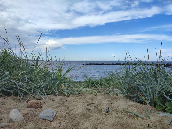 Blick durch Strandgräser auf die Ostsee, im Vordergrund Sand mit ein paar großen Steinen, im mittleren Bildteil Wasser und darüber blauer Himmel mit einigen großen Wolkenbändern