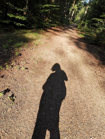 Mein Schatten auf einem Waldweg. 