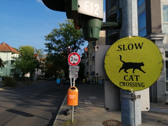 Pseudo-Verkehrszeichen sehr guter Qualität, gelb, rund, Kontur einer schwarzen Katze von links mit dem Text 