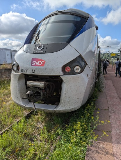 Ein Zug steht am Bahnsteig in einem von Gras durchwucherten Gleis